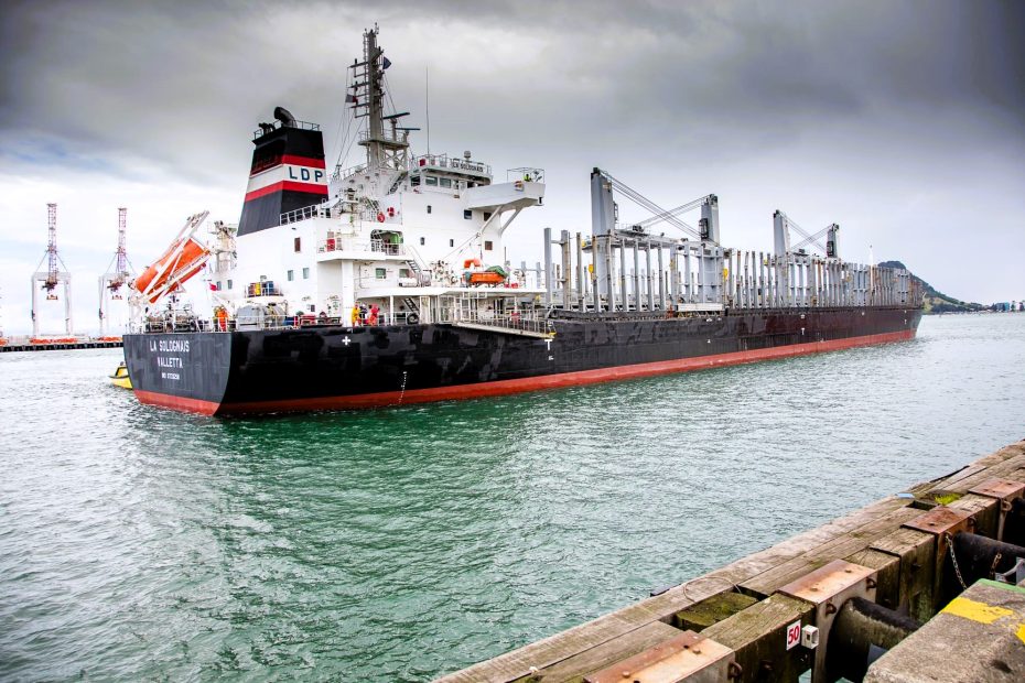 Dry Bulk Market Trends_geo-trends.eu_A Handysize dry bulk vessel docked at a port, with cranes in the background and overcast skies