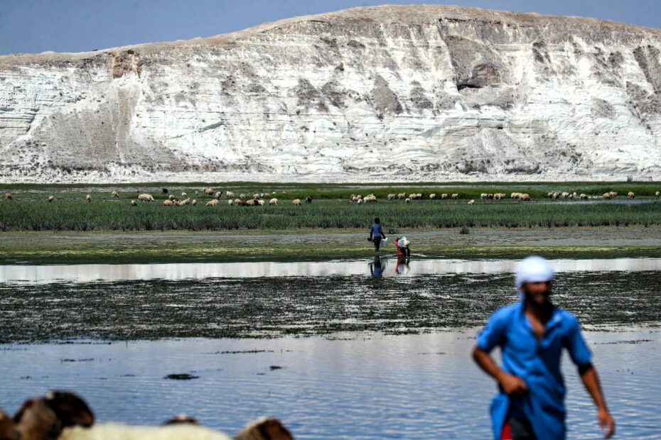 A scene along the Euphrates River in Syria, showing a partially dried riverbed with patches of greenery. In the background, a white, eroded hillside looms over a group of grazing sheep. Two people walk through the shallow water, while a man in a blue shirt moves in the foreground. The image reflects the ongoing water crisis in the region