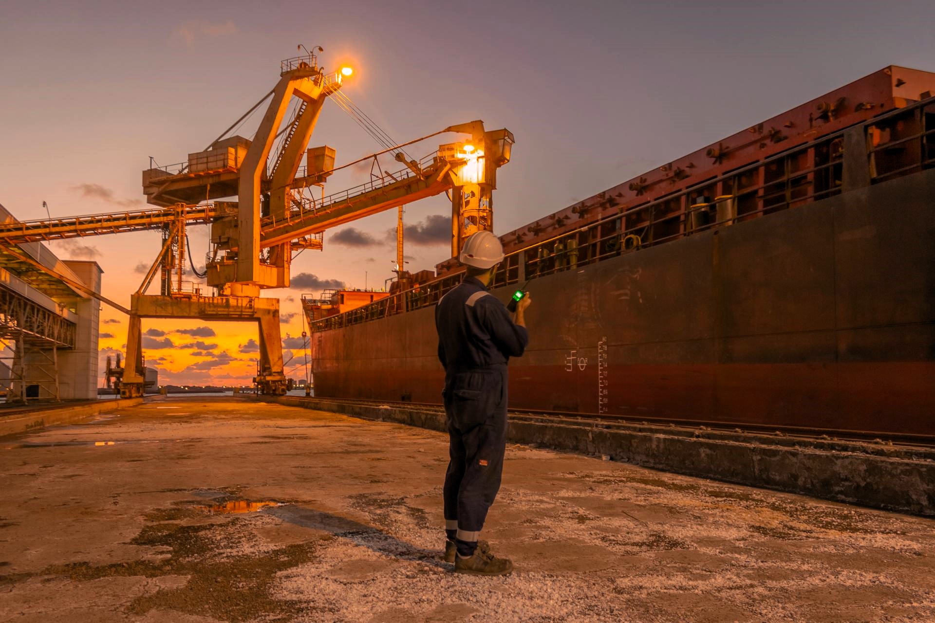 A maritime worker stands beside a bulk carrier at dusk under illuminated loading cranes in an industrial port terminal