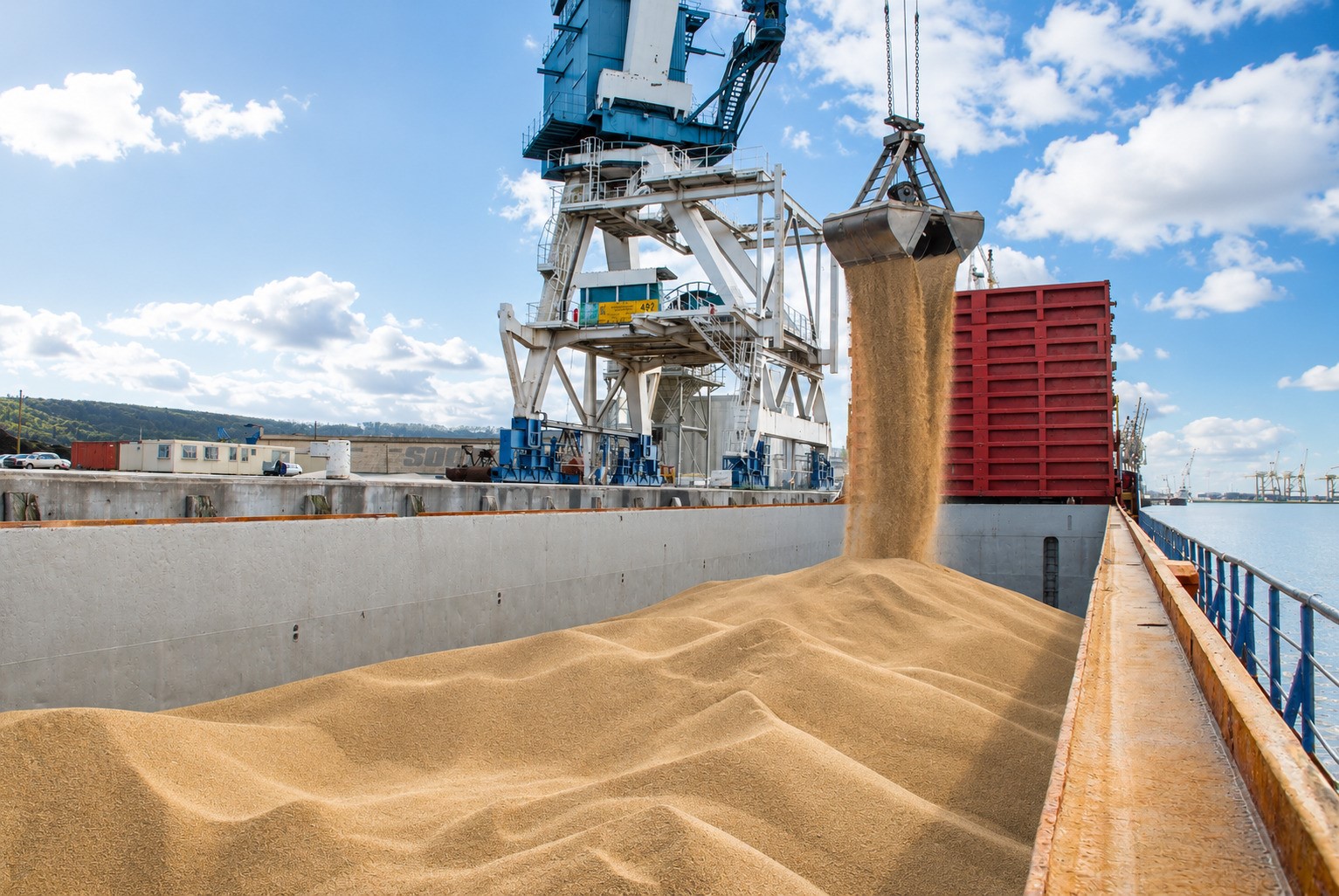 Bulk carrier cargo hold being loaded with grain by a shore crane at a commercial port under bright daylight, highlighting dry bulk operations and cargo flow