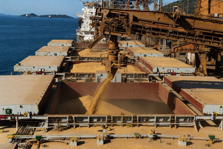 Bulk carrier loading grain at a modern export terminal, with cargo pouring into open holds beneath heavy loading equipment on a clear day